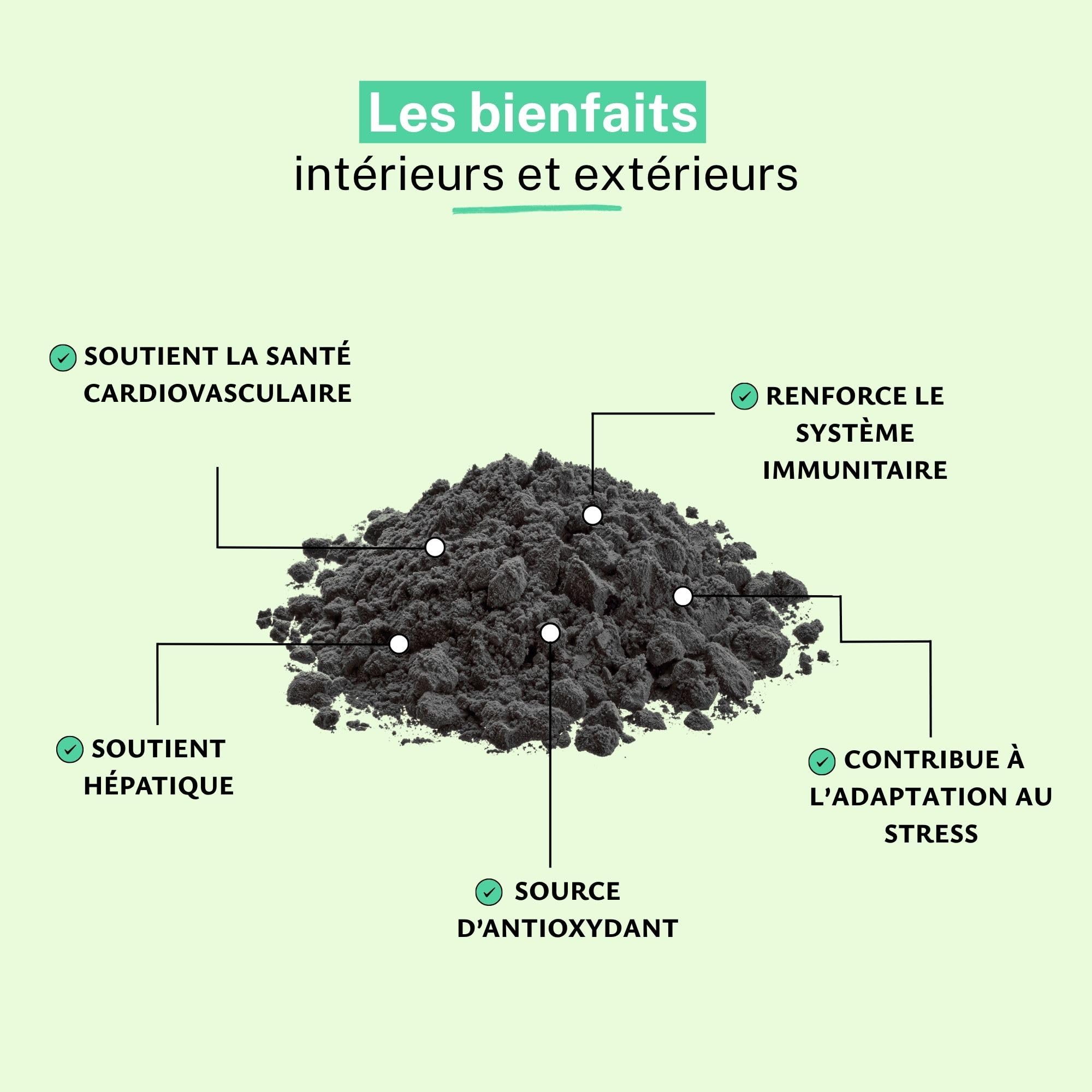Ail Noir Extrait Poudre 4:1 – Cure 2 Mois, Soutient le Cœur, Favorise la Circulation et les Défenses Naturelles – Antioxydant d’Origine Fermentée | Conditionnée en France, RUE DES PLANTES (500g)