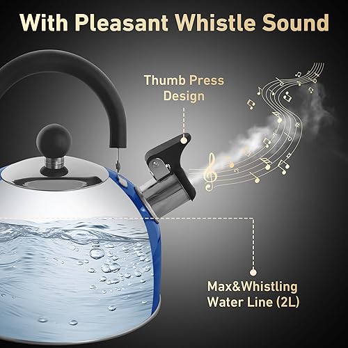 Vista 28 de Lily's Home Hervidor de té silbante de acero inoxidable de 2 cuartos de galón, la calderas de té y agua perfectas para tu hogar, dormitorio