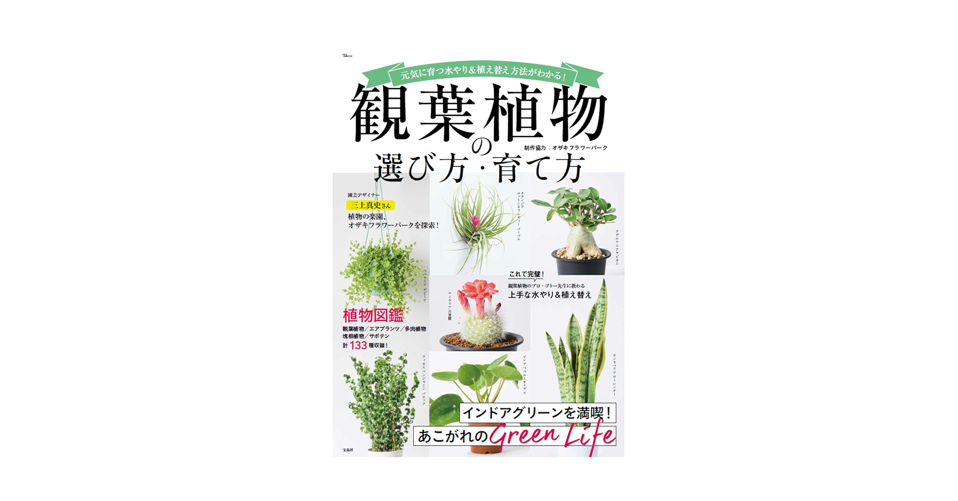 観葉植物の選び方・育て方 (TJMOOK) | オザキフラワーパーク