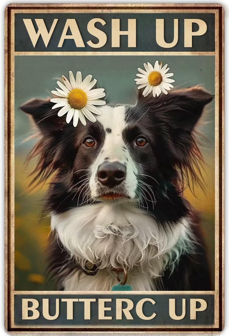 Anceky Border Collie Wall Art Canvas Framed Funny Bathroom Signs Wash Up Buttercup Modern Print Posters Vintage Canvas Paintings Wall Decor For Cafe Bedroom Bathroom Framed 12x16 Inch