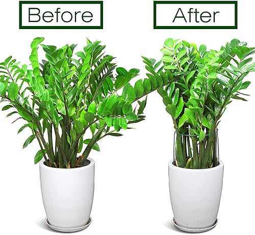 Miniatura 2 de Paquete de 20 estacas de soporte para plantas, estaca de metal media redonda para plantas de jardín, anillo de soporte para plantas verdes, soporte