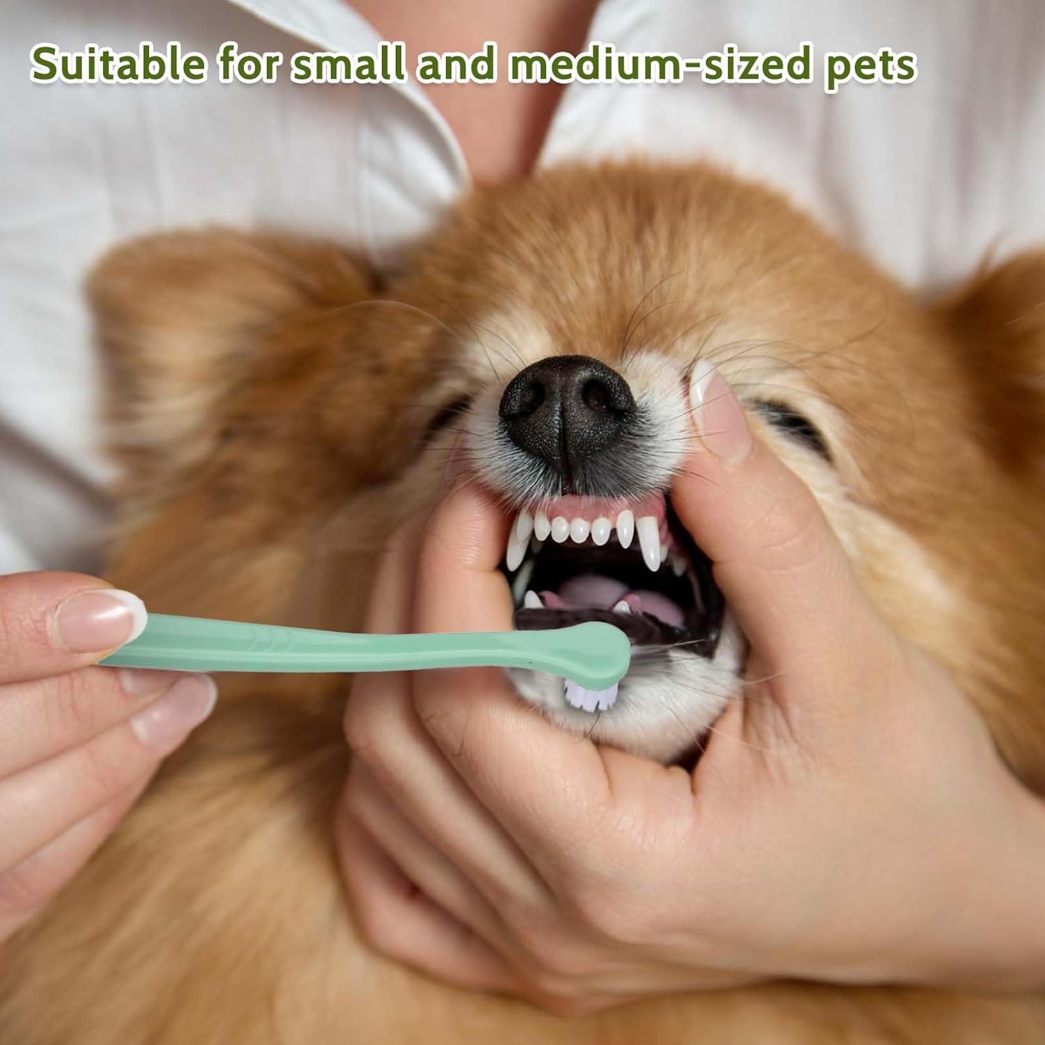 Paquete de 2 cepillos de dientes suaves para mascotas pequeñas, mini cepillo de dientes para perros y gatos con cerdas de nailon suave, cepillo de dientes manual portátil para cachorros