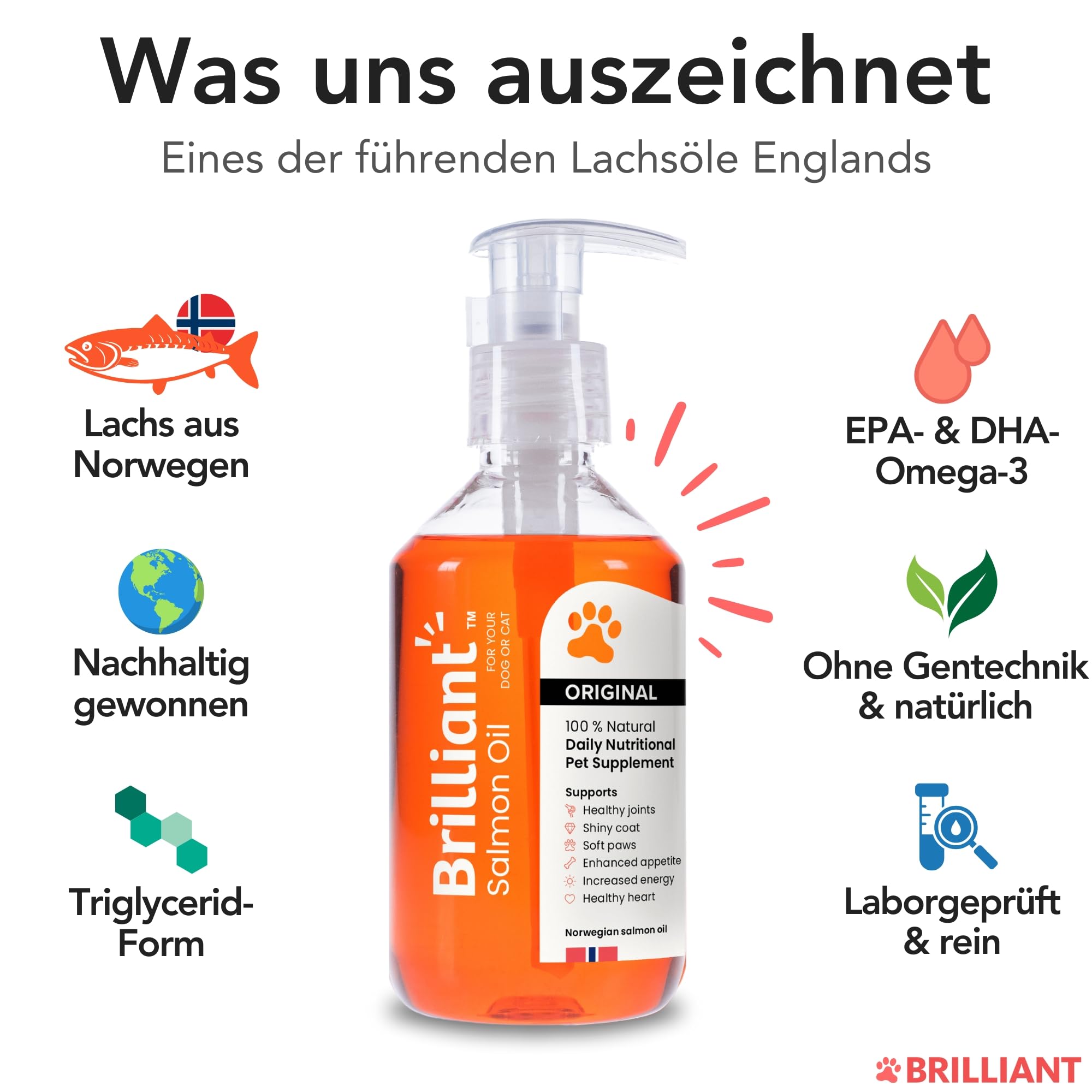 Hofseth BioCare BRILLIANT | Norwegisches Lachsöl für Katzen und Hunde Fördert glänzende Mäntel | Verbesserter Appetit | Weiche Pfoten | Energie erhöhen | Nicht GVO | 2 x 300ml