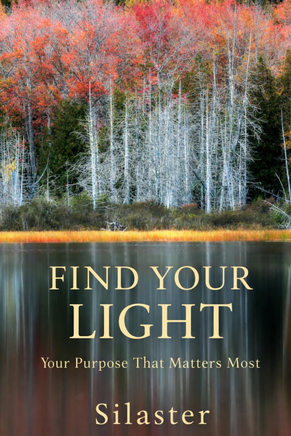 Find Your Light
