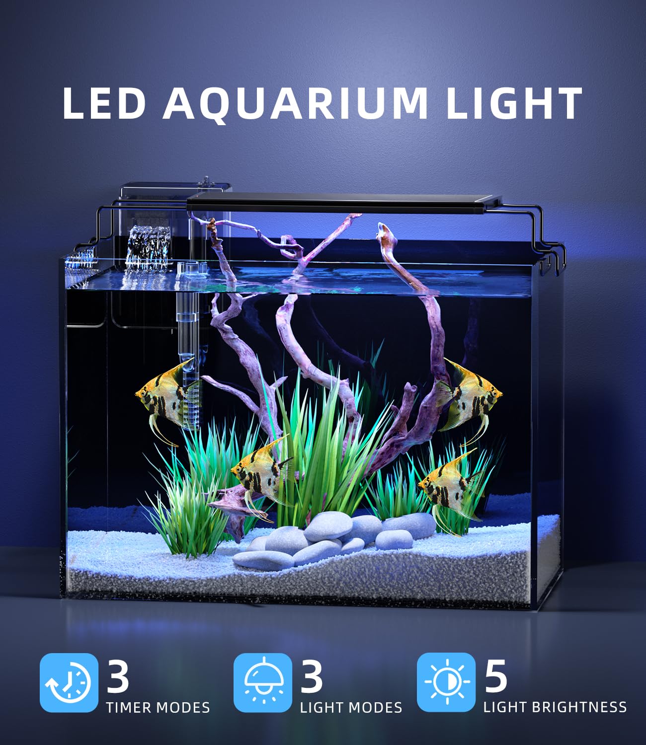 Kit acquario acquario 5 galloni con filtro, luce LED con timer, sifone aspirapolvere, coperchio, vetro autopulente senza montatura Betta Tank