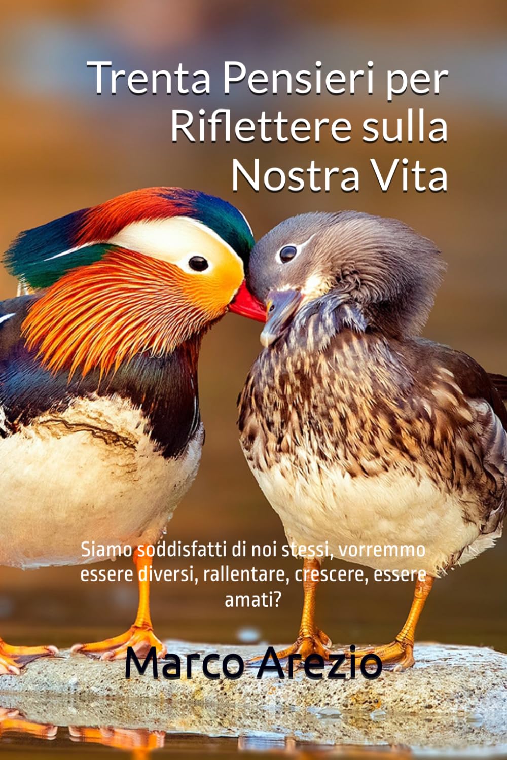 Trenta Pensieri per Riflettere sulla Nostra Vita: Siamo soddisfatti di noi stessi, vorremmo essere diversi, rallentare, crescere, essere amati?