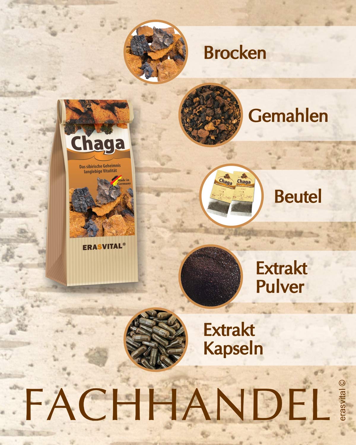 Chaga Champiñones en porciones en 120 bolsas de 1 g cada una, recolectadas silvestres, secado suave, vegano, calidad de comercio especializado, folleto con muchas recetas
