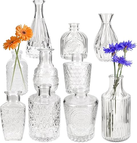 Yirilan Juego de 10 jarrones de cristal, pequeños jarrones para flores, jarrones transparentes a granel para centros de mesa, mini jarrones vintage