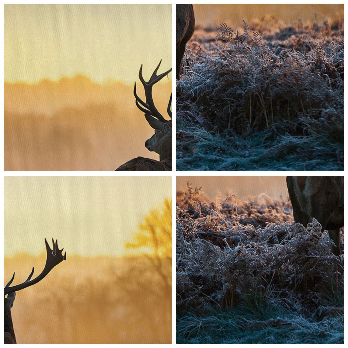Lienzos decorativos 160x50cm Cuadro Sobre Lienzo Moderno Campo niebla la naturaleza el árbol Grande XXL Dormitorio Cuadros Pared Imágenes Cuadros Decoracion Salon Wall Art Prints Decor AB160x50-2428