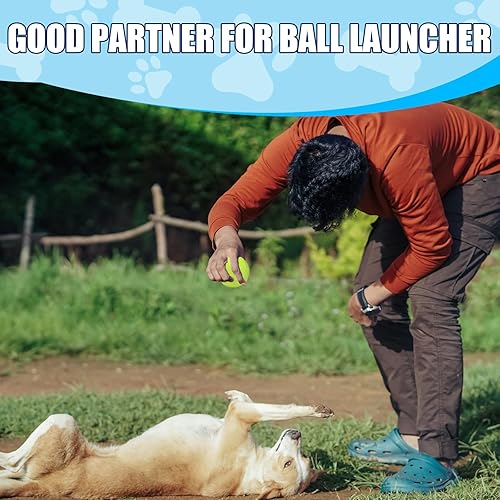 Miniatura 7 de Swingers Pelotas de tenis pequeñas, paquete de 20 pelotas de tenis de entrenamiento de 2 pulgadas, pelota de ejercicio para mascotas y perros con