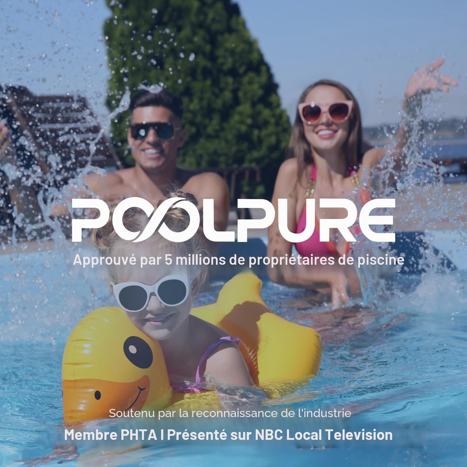 POOLPURE Summer Escapes Lot de 4 filtres de Remplacement pour Piscine et Spa de Type D, Summer Waves P57100102, P57000104