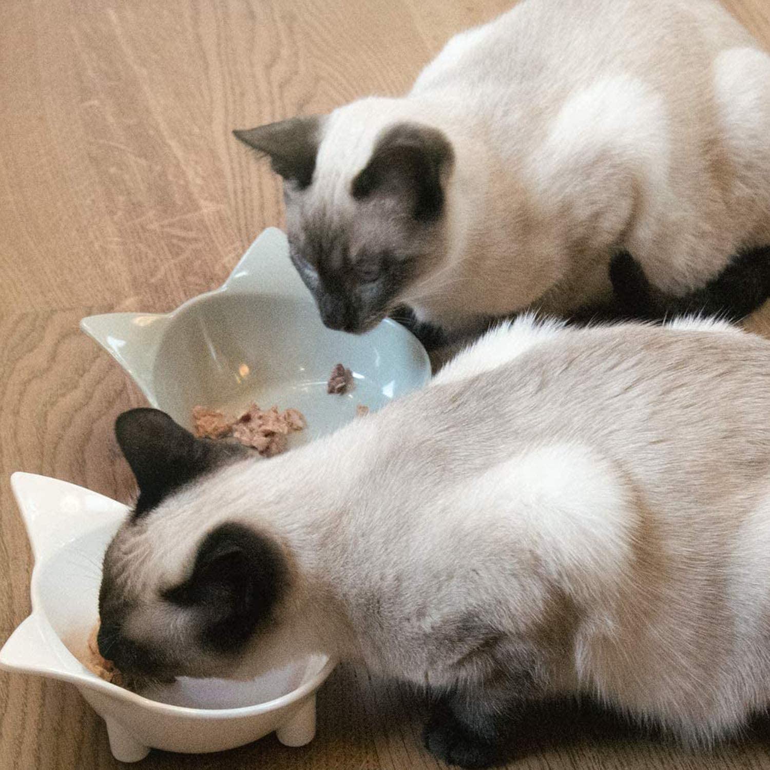 Ciotole per Gatti Antiscivolo Set 3 - Grigio, Bianco e Giallo
