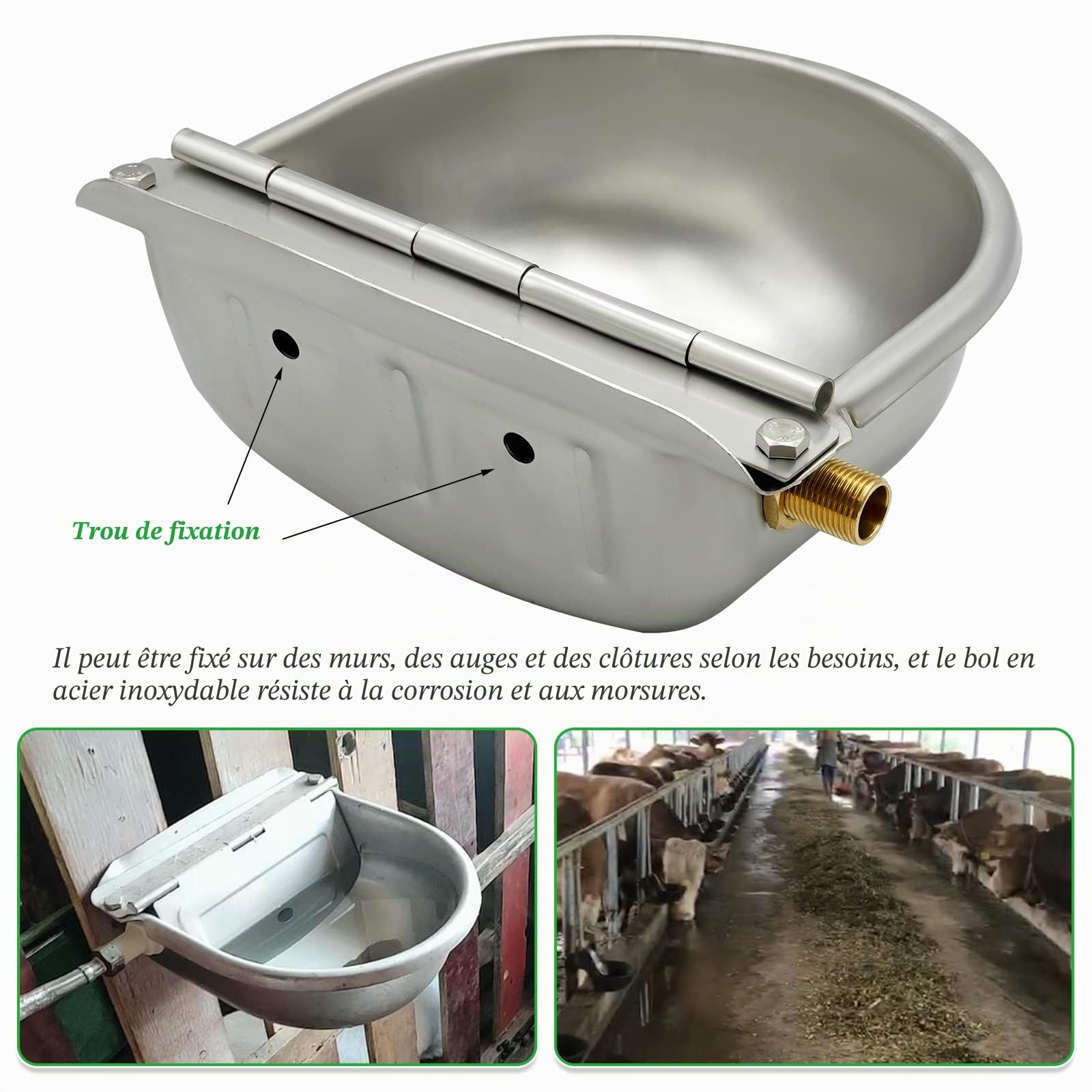 Abreuvoir Flotteur en Acier Inoxydable avec Valve Flottante pour bovins, Chevaux, chèvres, Moutons, buveurs, Outils d'élevage d'animaux