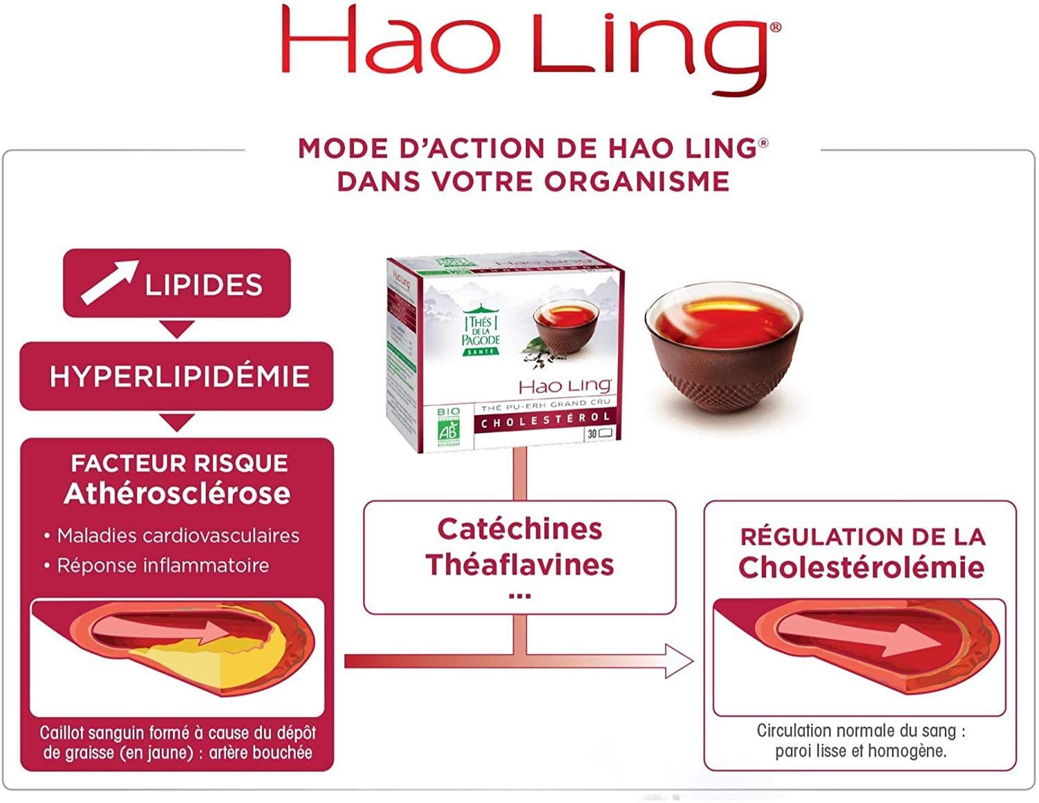 Thé Hao Ling Bio par Thés de La Pagode | Format pratique et économique – 90 infusettes | Régule le cholestérol