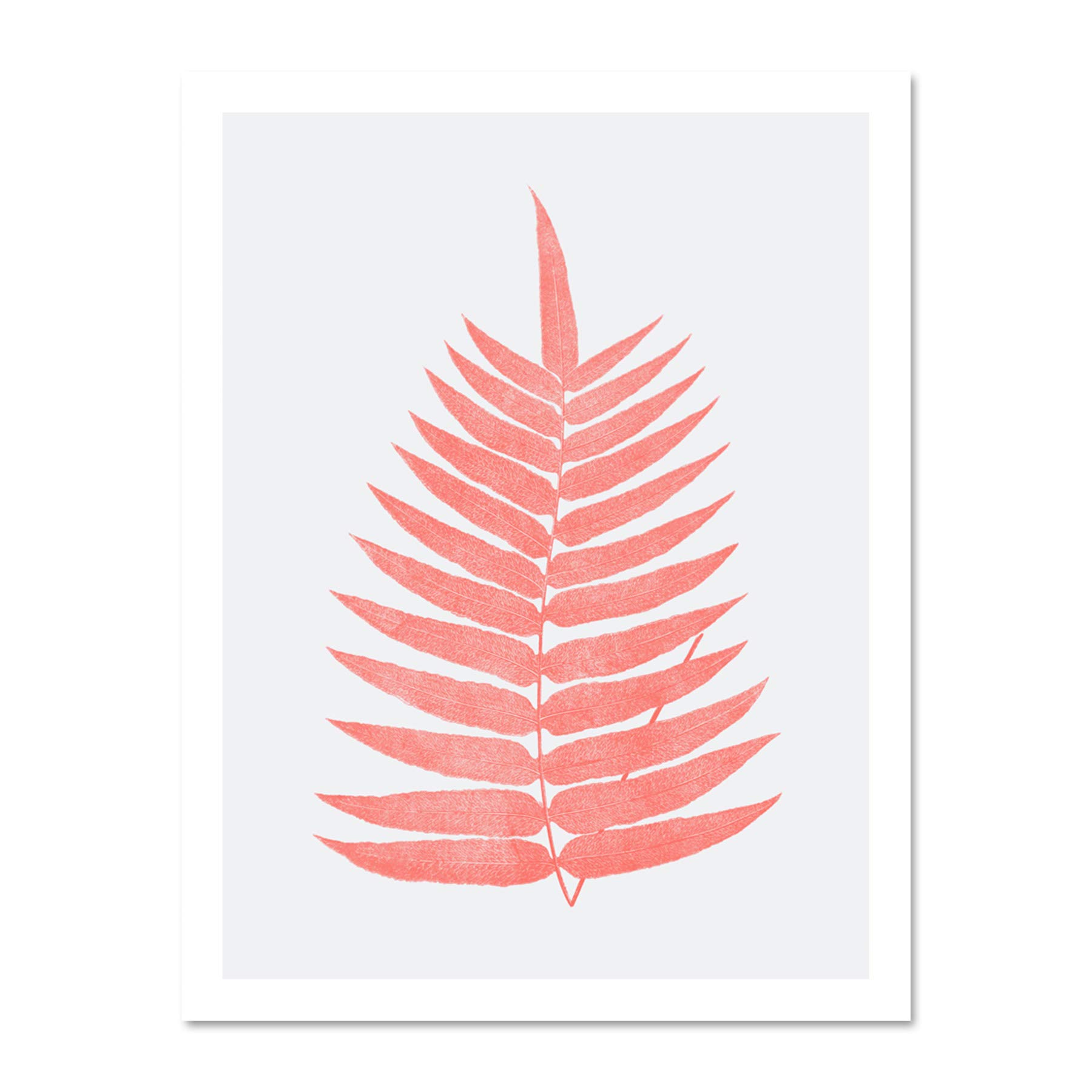 Wee Blue Coo Living Coral Fern Large White Framed Art Print Wall Poster 18x24 inch