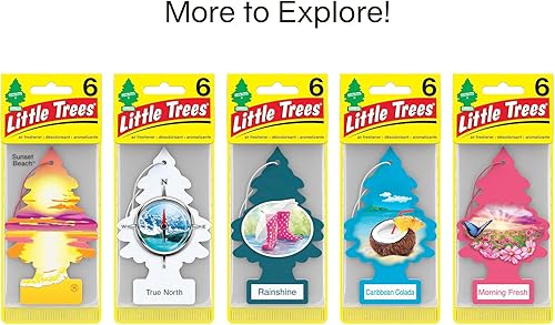 Miniatura 103 de Little Trees - Ambientador de árbol colgante que proporciona un aroma de larga duración para auto u hogar. Aroma Leather, 4 paquetes de 6