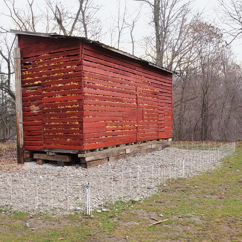 Miniatura 5 de Premier RaccoonNet 41812 - Valla de red eléctrica de 18 pulgadas, 100 pies, pico único, blanconegro