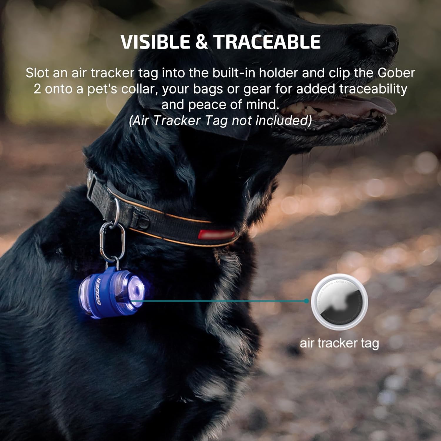 OLIGHT Gober 2 attached to a dog collar with an Air Tracker Tag સ્લોટ