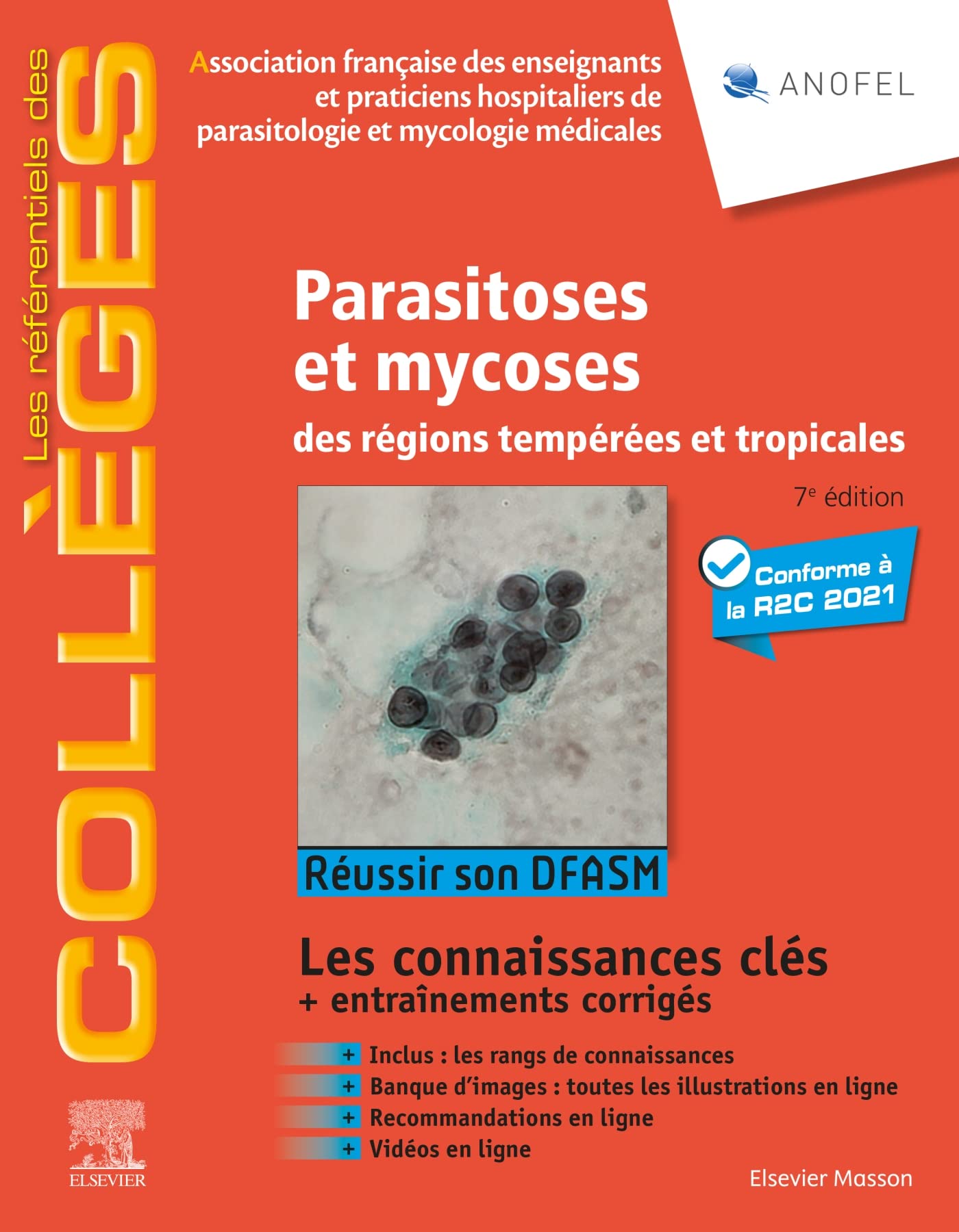 Parasitoses et mycoses: des régions tempérées et tropicales ; Réussir son DFASM - Connaissances clés