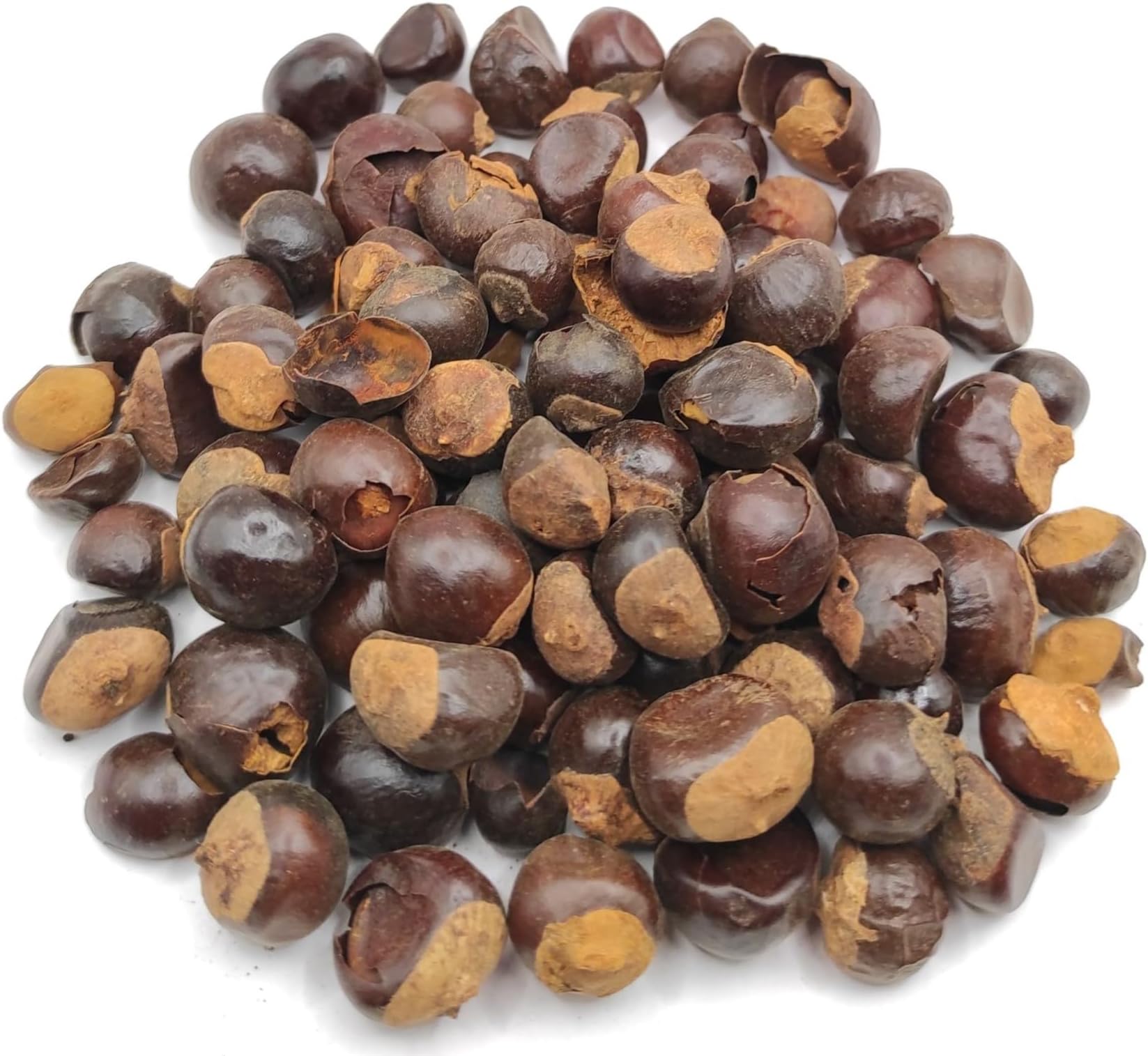 Dried Guarana 40g - 1,95Kg Paullinia Cupana (40 grams)