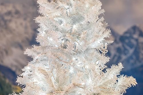 Miniatura 7 de Novelty Lights Guirnalda de luces de Navidad de 50 pies, 100 bombillas LED blancas puras en cable blanco, espacio de 6 pulgadas, iluminación