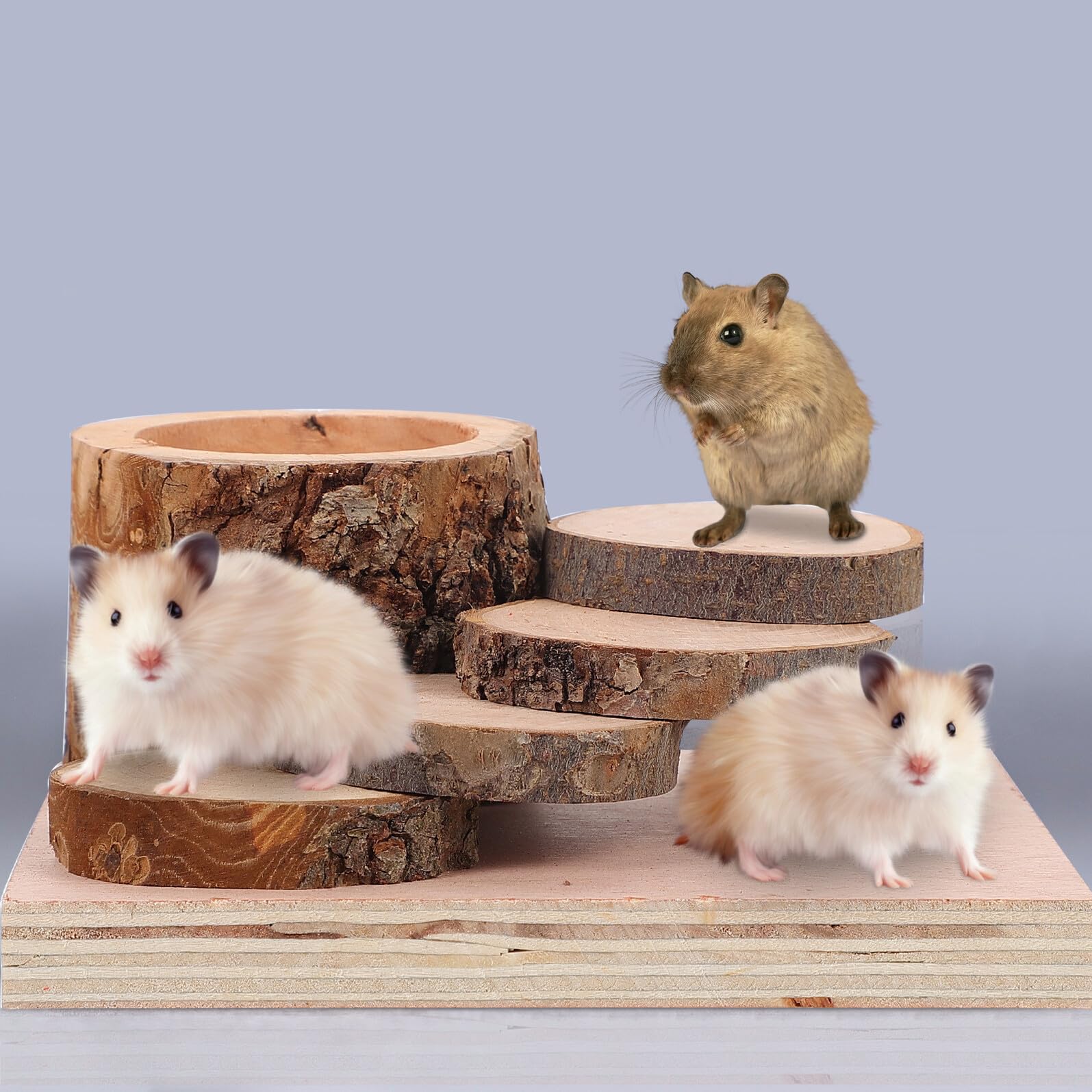 SHINEOFI Juguete de Madera Resistente y Seguro con Comedero y Escalera para Hámster Plato de Alimentación para Mascotas Pequeñas para Juegos y Trepadas