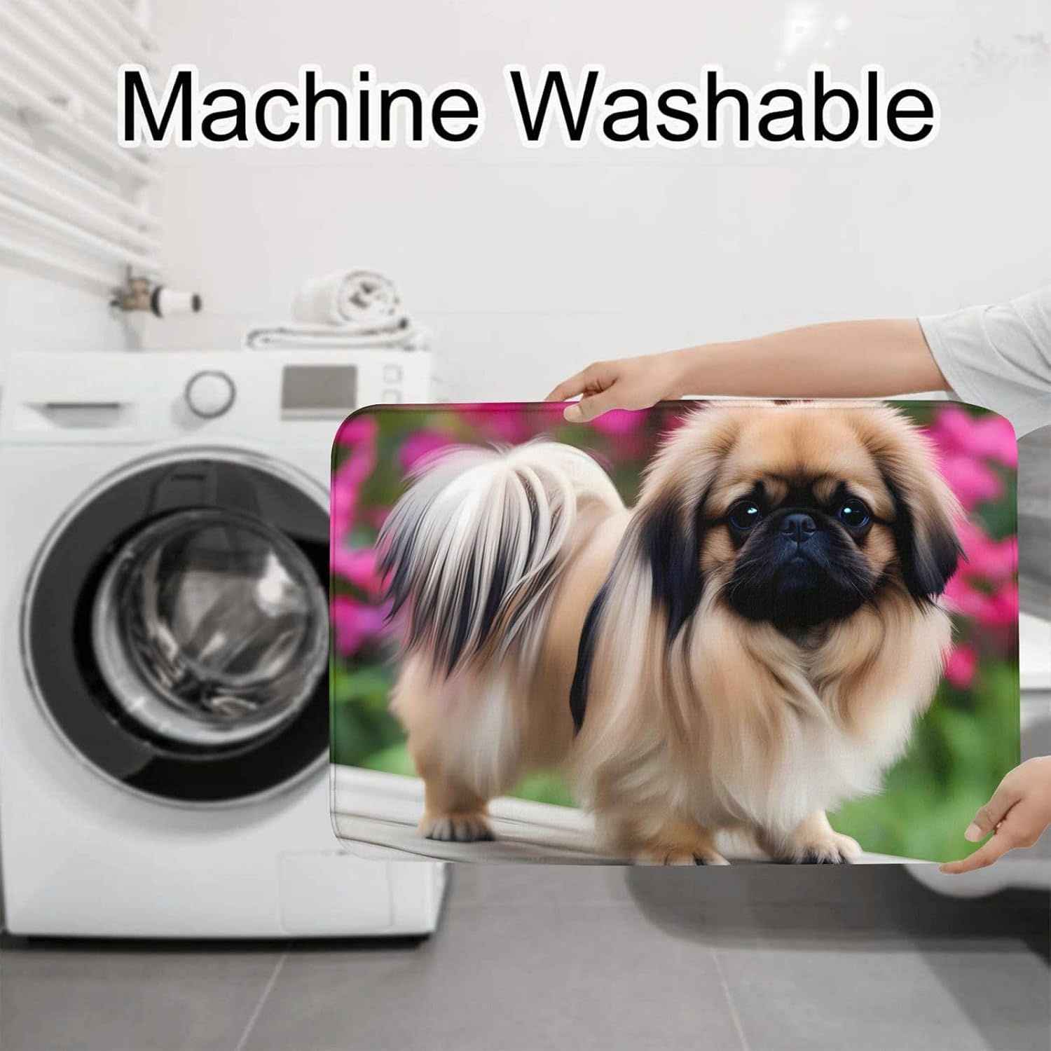 Cute Pekingese
