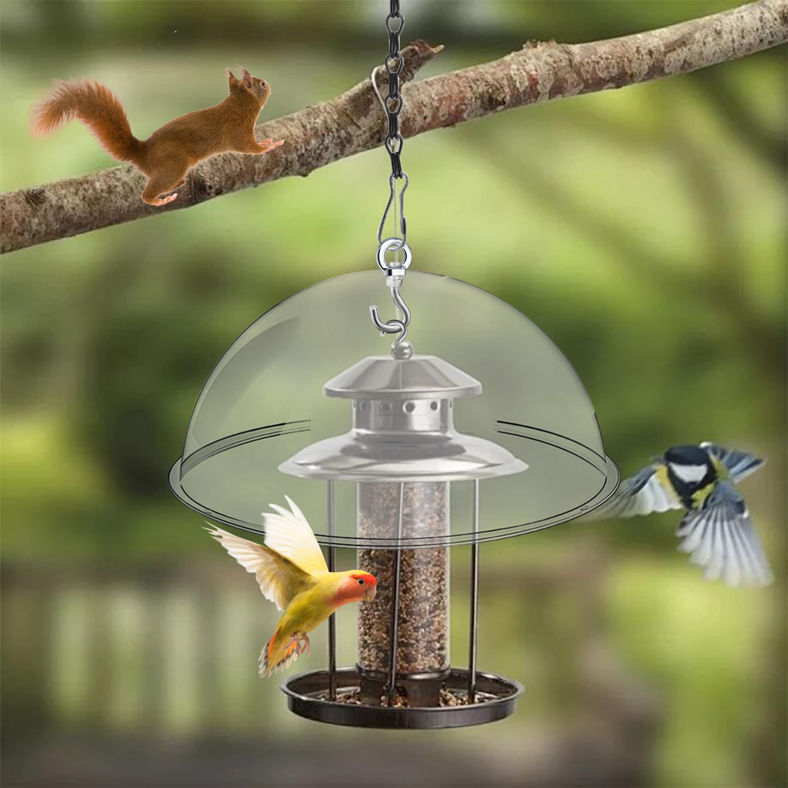 2 pièces Dôme de Protection Transparent pour Mangeoire à Oiseaux 30cm Housse de Protection Anti-écureuil avec des chaînes