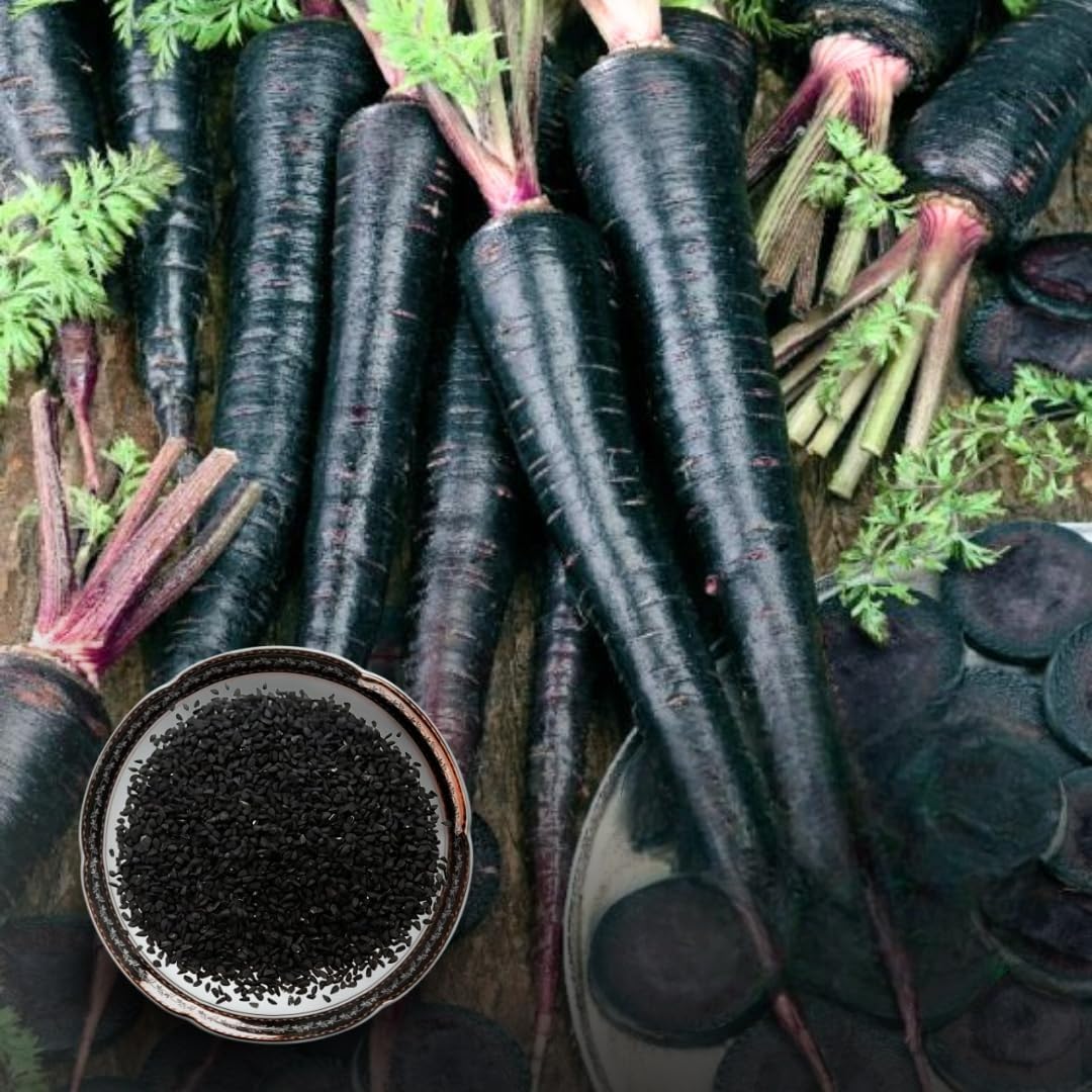 Green Paradise® F1 Hybrid Black Carrot Seeds Pack (B0D5BX6JVJ) Amazon Price History, Amazon Price Tracker