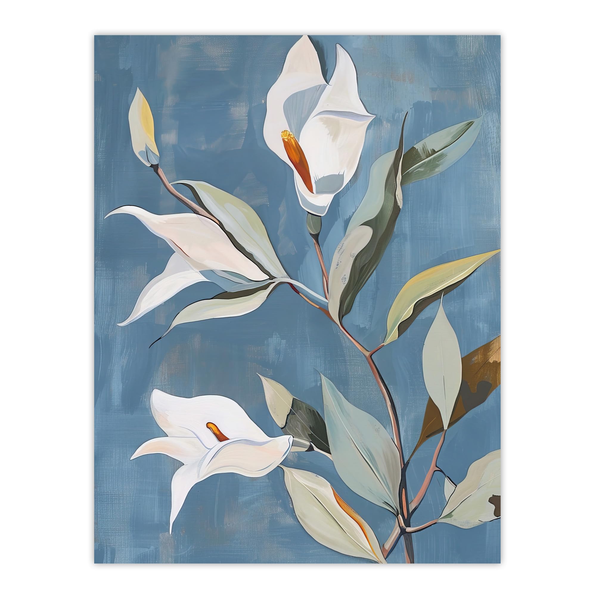 Elegant Peace Lily Flower Blooming Soft Floral Wall Art Poster Print