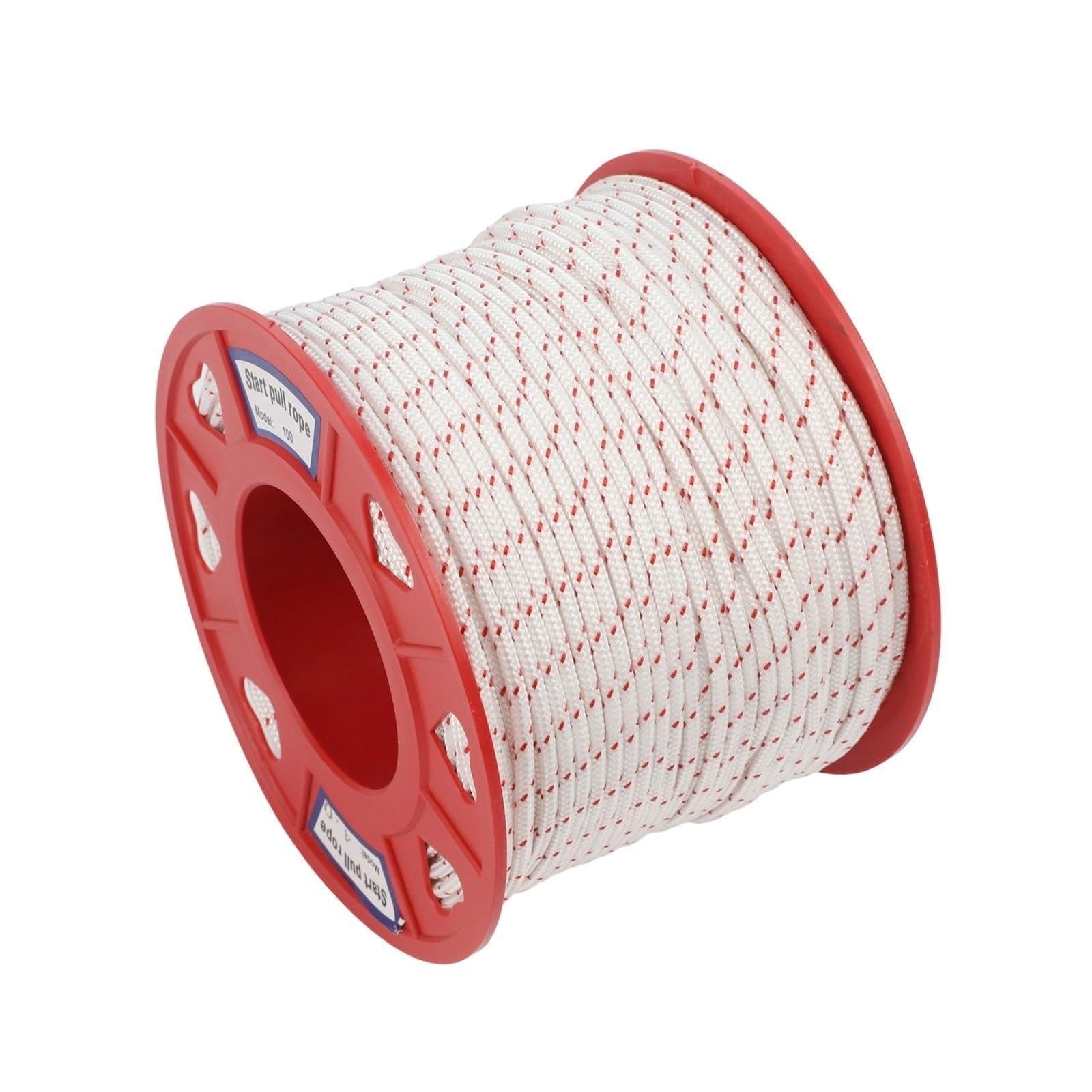 HIZON Cuerda de Nailon for Motosierra for cortacésped(4.0mmx100m)