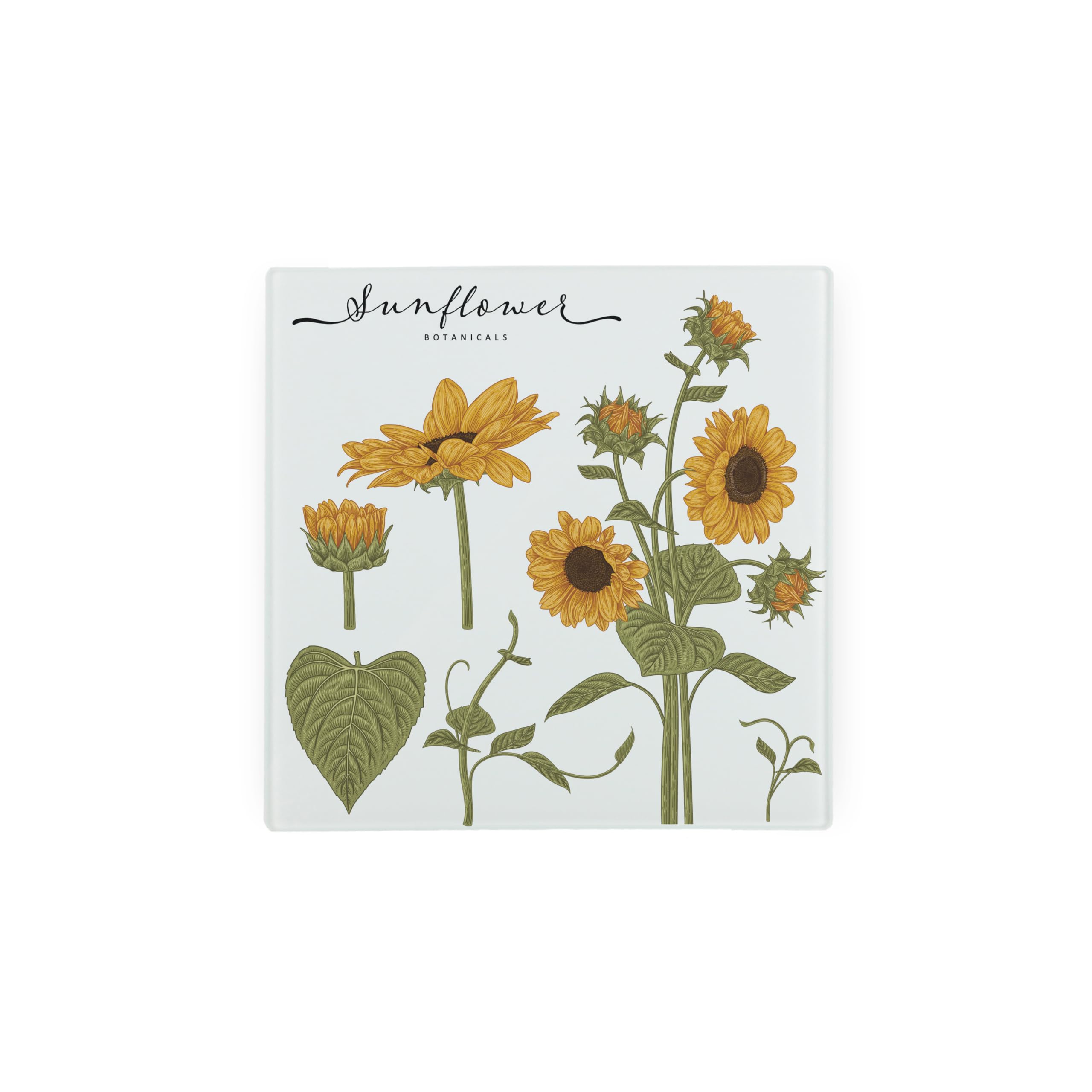 Sunflowers Plants Botanical Glass Hot Pot Stand - Gardening Gift Trivet - Kitchen Chopping/Cutting Board Worktop Protector with Non-Slip Feet 20cm x 20cm (8" x 8")
