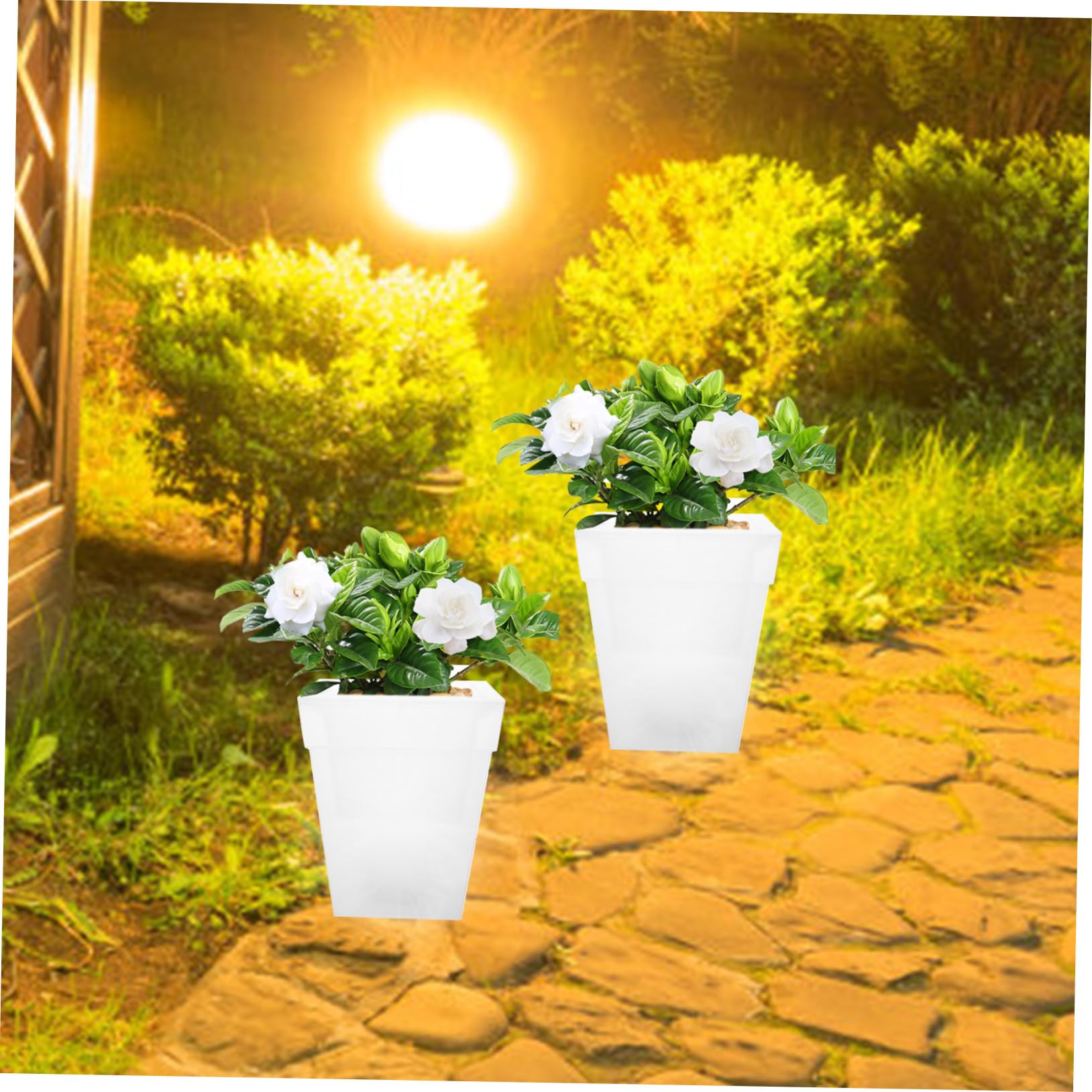 LALAFINA Lampada Fioriera Solare Bianca da Giardino 4 LED e Plastico | Decorazione Luminosa Realistica, per Piante e Cortili, Ip44, 1, 2v 300mah, per Feste All'aperto