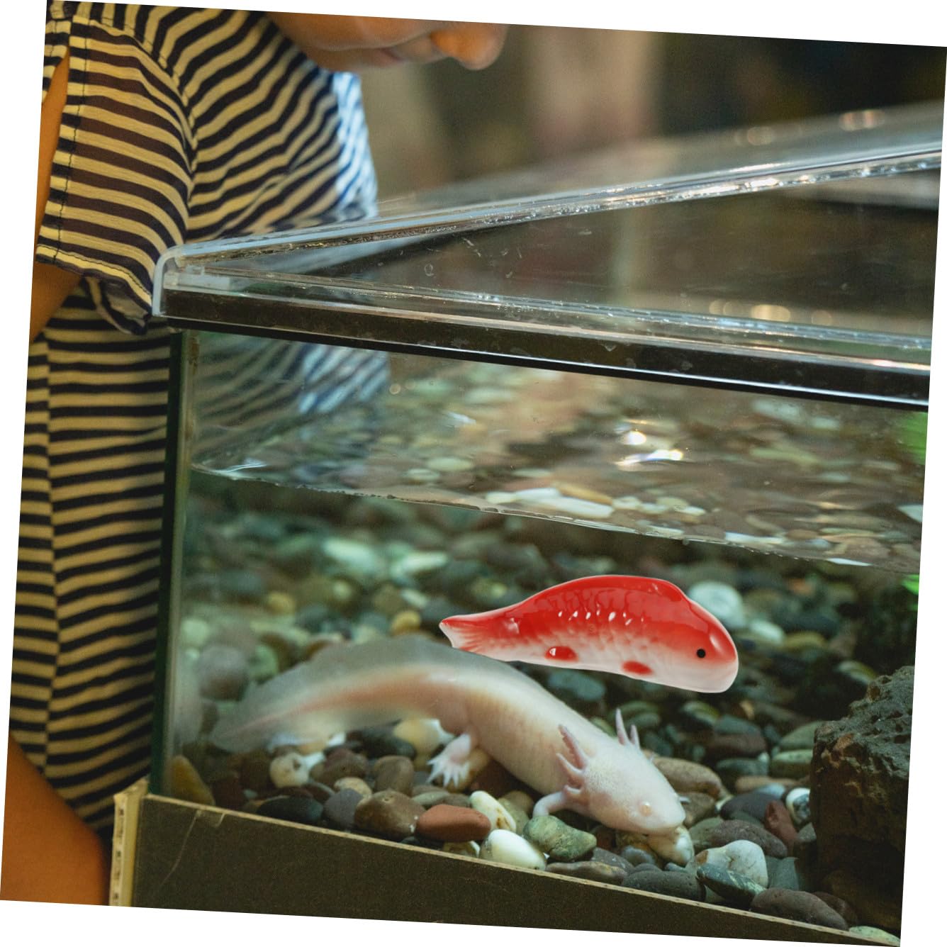 HANABASS 4stücke Schwimmende Keramikfische Deko Realistische Aquarium Dekoration Für Fischbecken Langlebiges Unterwasser-Handwerk Stilvolle Ornamente Für Aquarien Und Terrarien Keramik