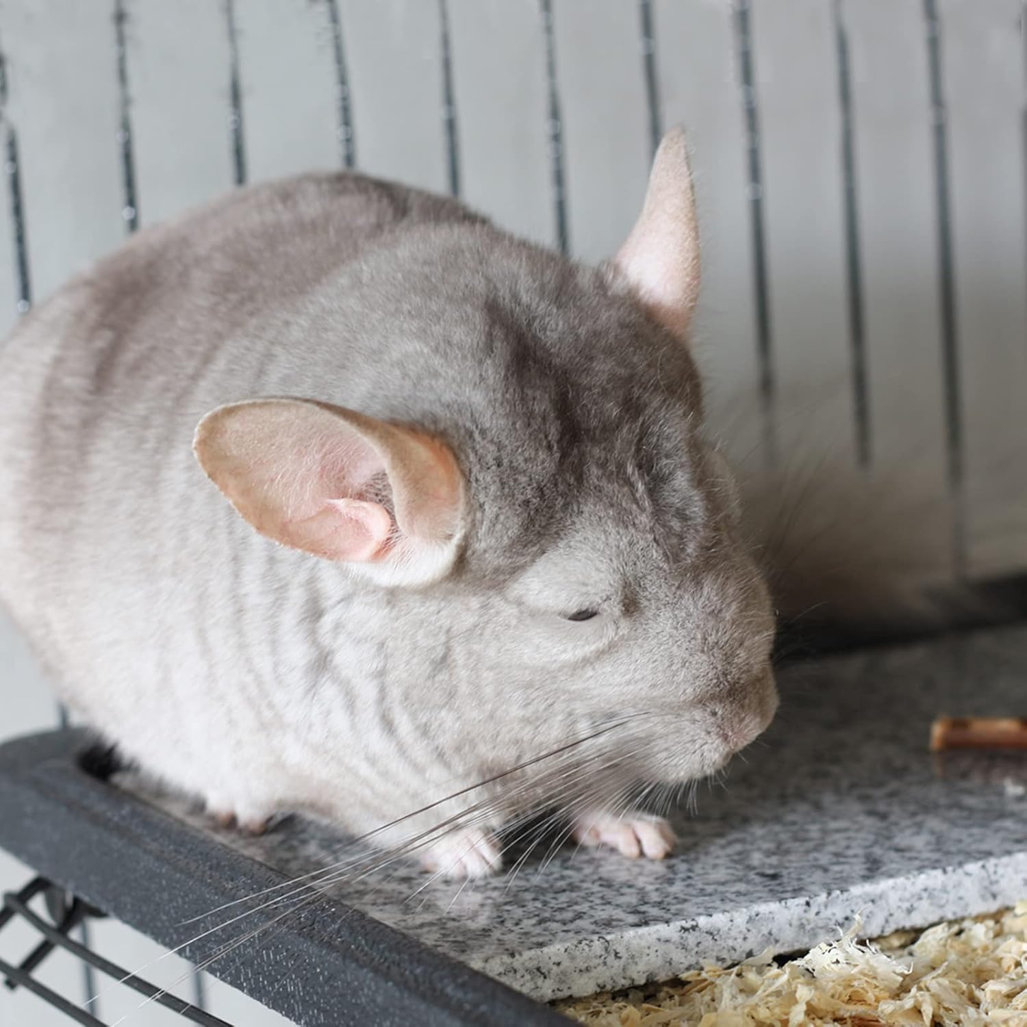 Chinchilla Cooling Stone Durable Cool Down Easy Clean in Hot Summer for Rabbit Hamster Guinea Pig Chinchilla Kitten Small Animals Spots of Gold-Grey