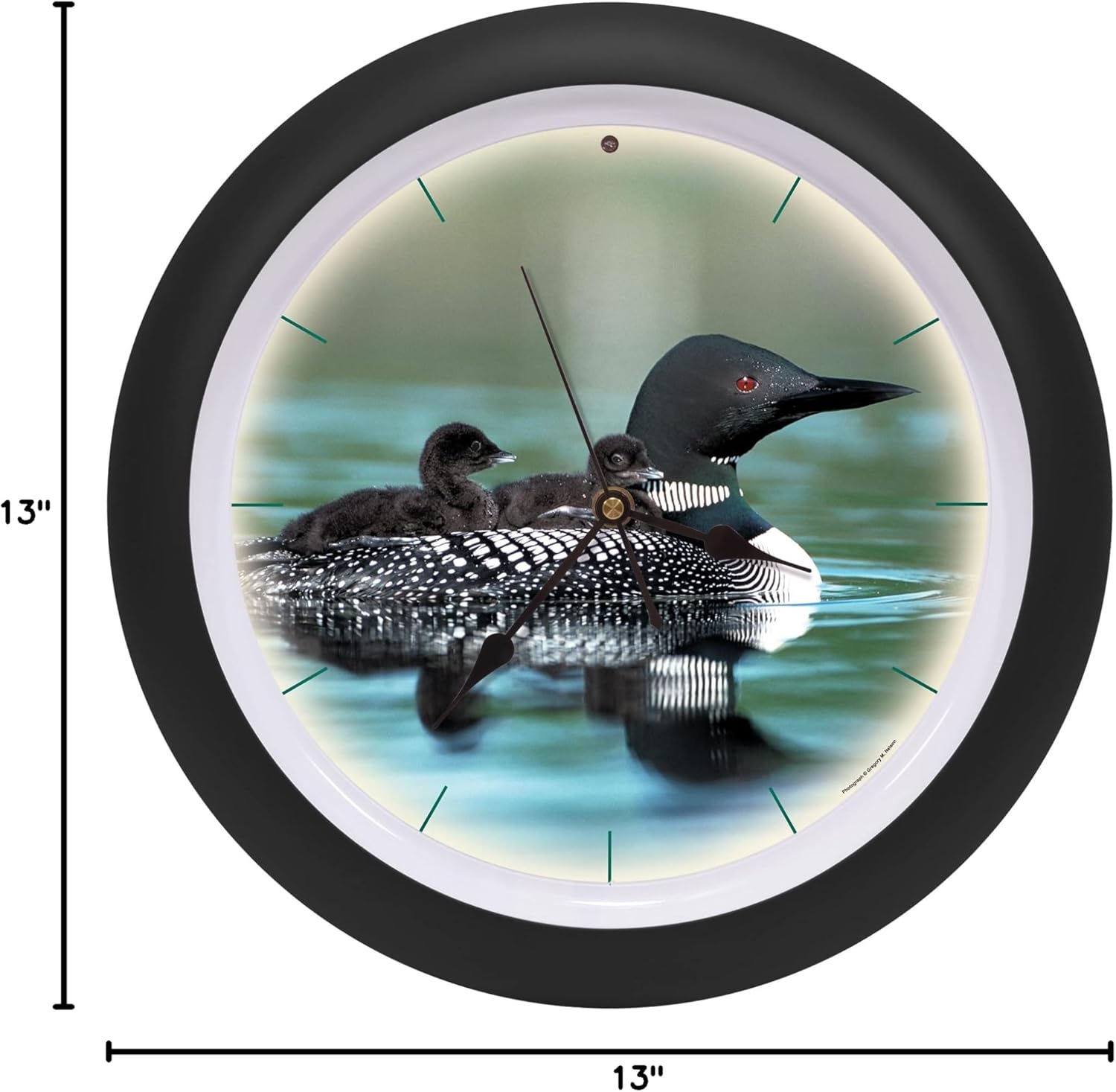 Call of The Loon Artwork Matte Black 13 inch Sound Wall Clock