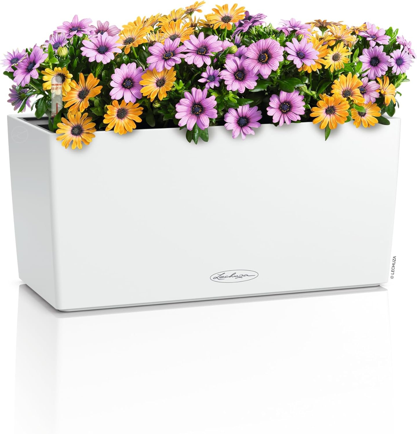 Lechuza BALCONERA Color 40 White, Self-Watering Window Box (Railing Planter), H7.5 L15.7 W7.5 in
