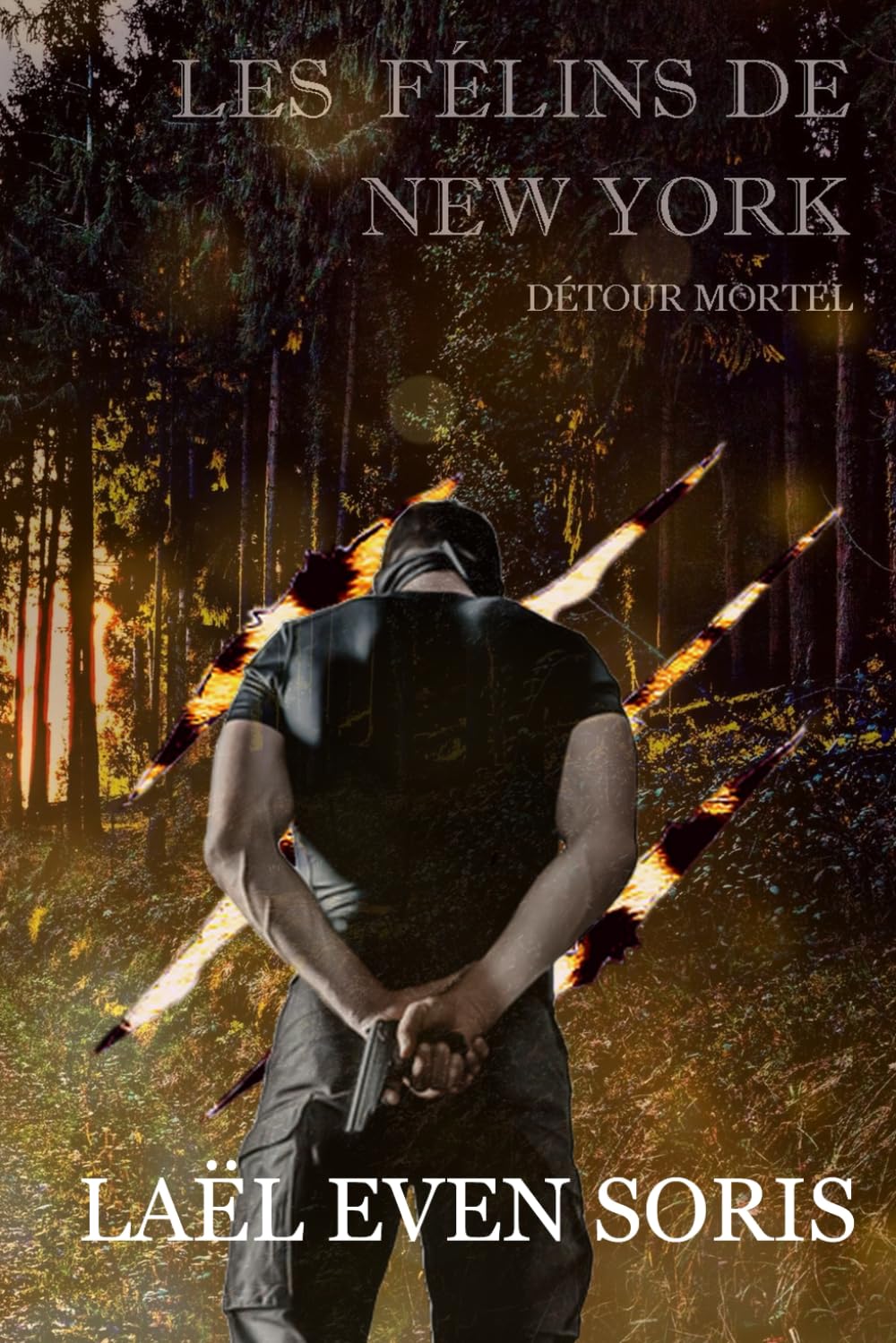 Détour Mortel (Les Félins de New York)
