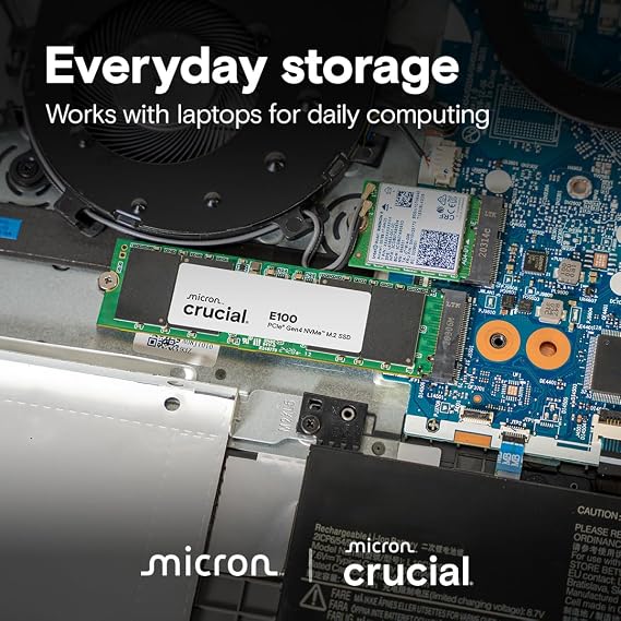 Crucial E100 1TB NVME M.2 SSD Disk CT1000E100SSD8