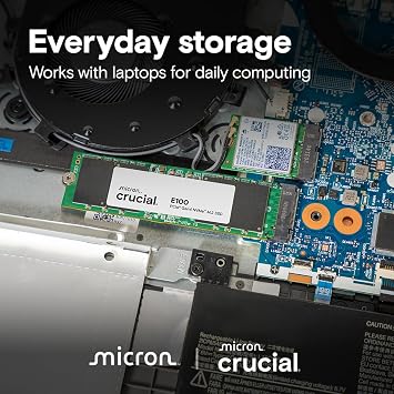 Crucial E100 1TB NVME M.2 SSD Disk CT1000E100SSD8