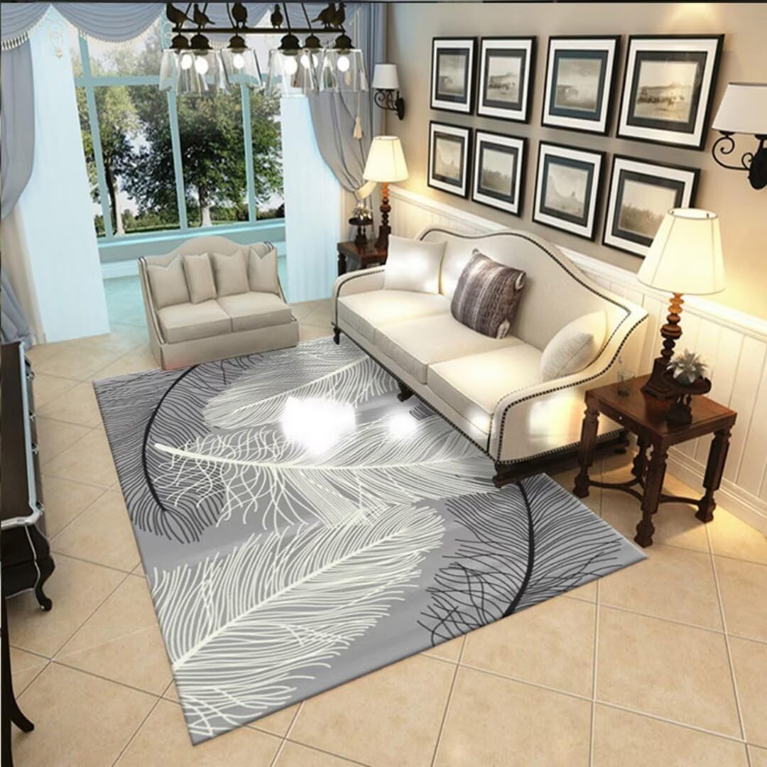 Tapis 300x400cm lavable et antidérapant gris anthracite pour salon moderne