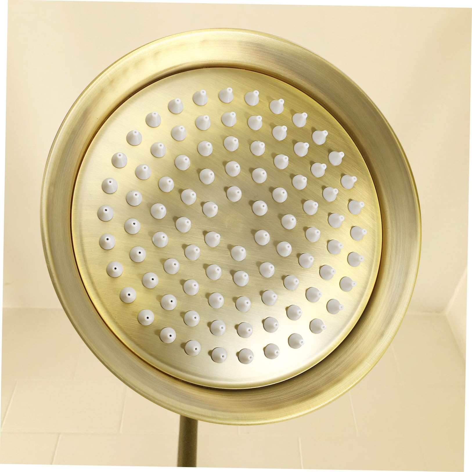 Acero Inoxidable Cabezal de Ducha de Techo Marrón, 8 Pulgadas