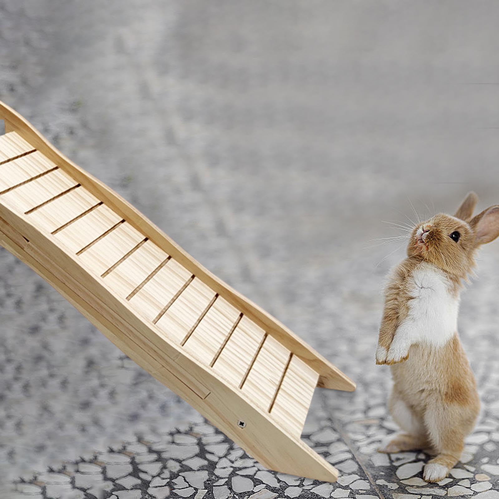 Rampa per Conigliera, Scaletta Sospesa in Legno per Gabbia di Criceto, Gioco di Arrampicata, Ponte a Scaletta in Legno per Topi, Piccoli Animali, Cinc, a