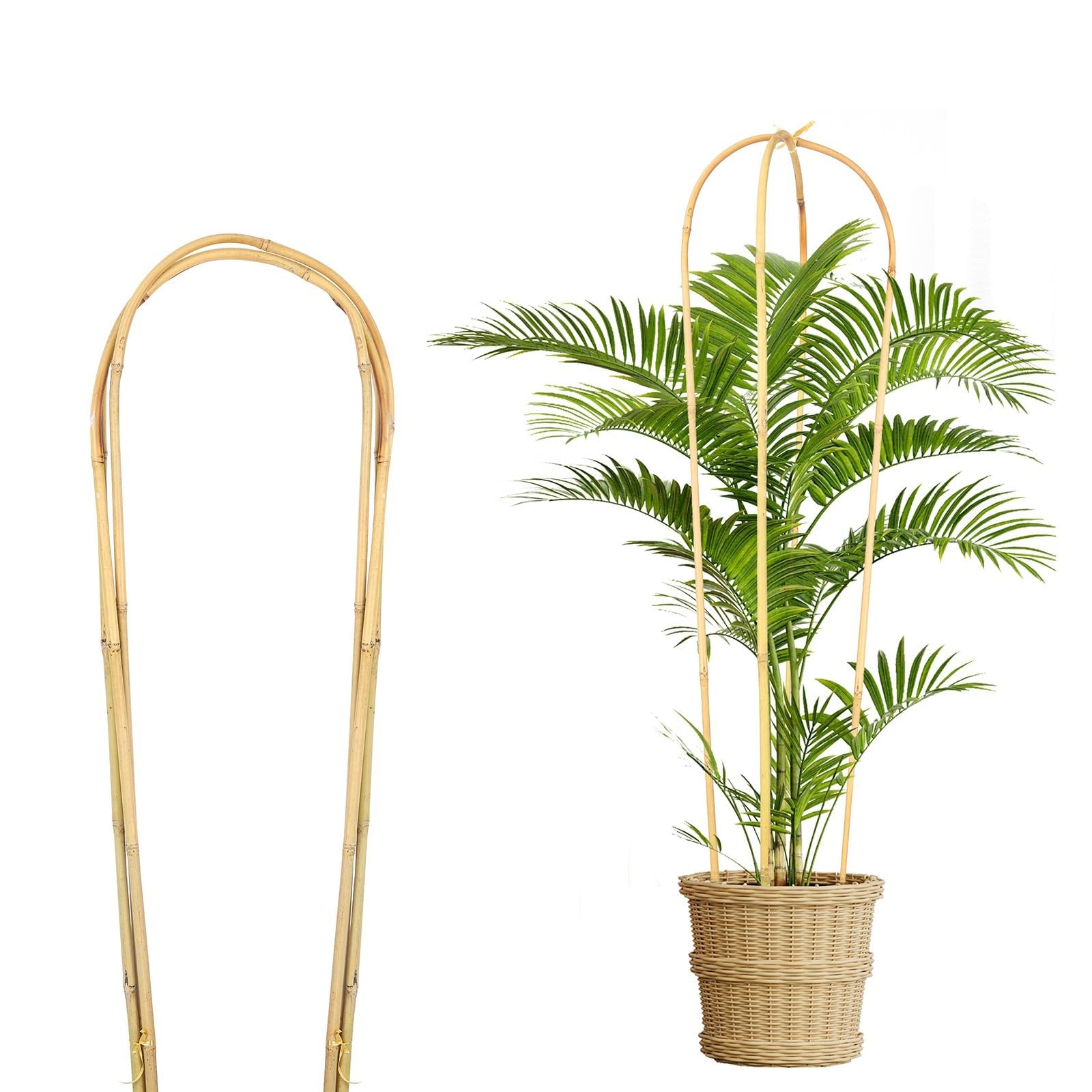 Wooden Bamboo U-Shaped Trellis for Vines and Potted Plants, 3ft, (90cm) Pack of 3