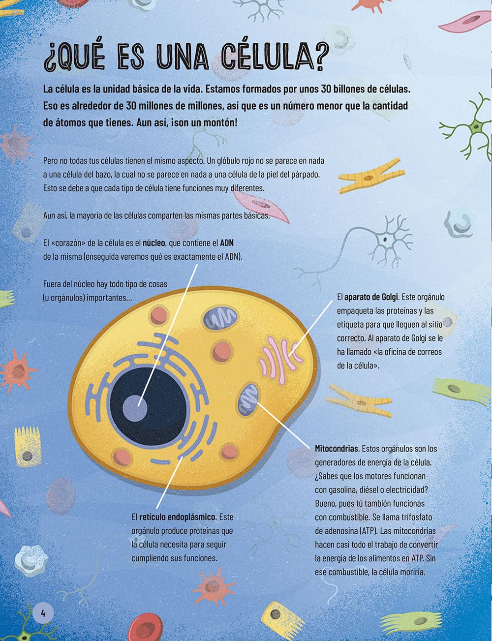 Un muy breve viaje a través del cuerpo: Edición ilustrada de un recorrido apasionante de la cabeza a los pies (Infantil)