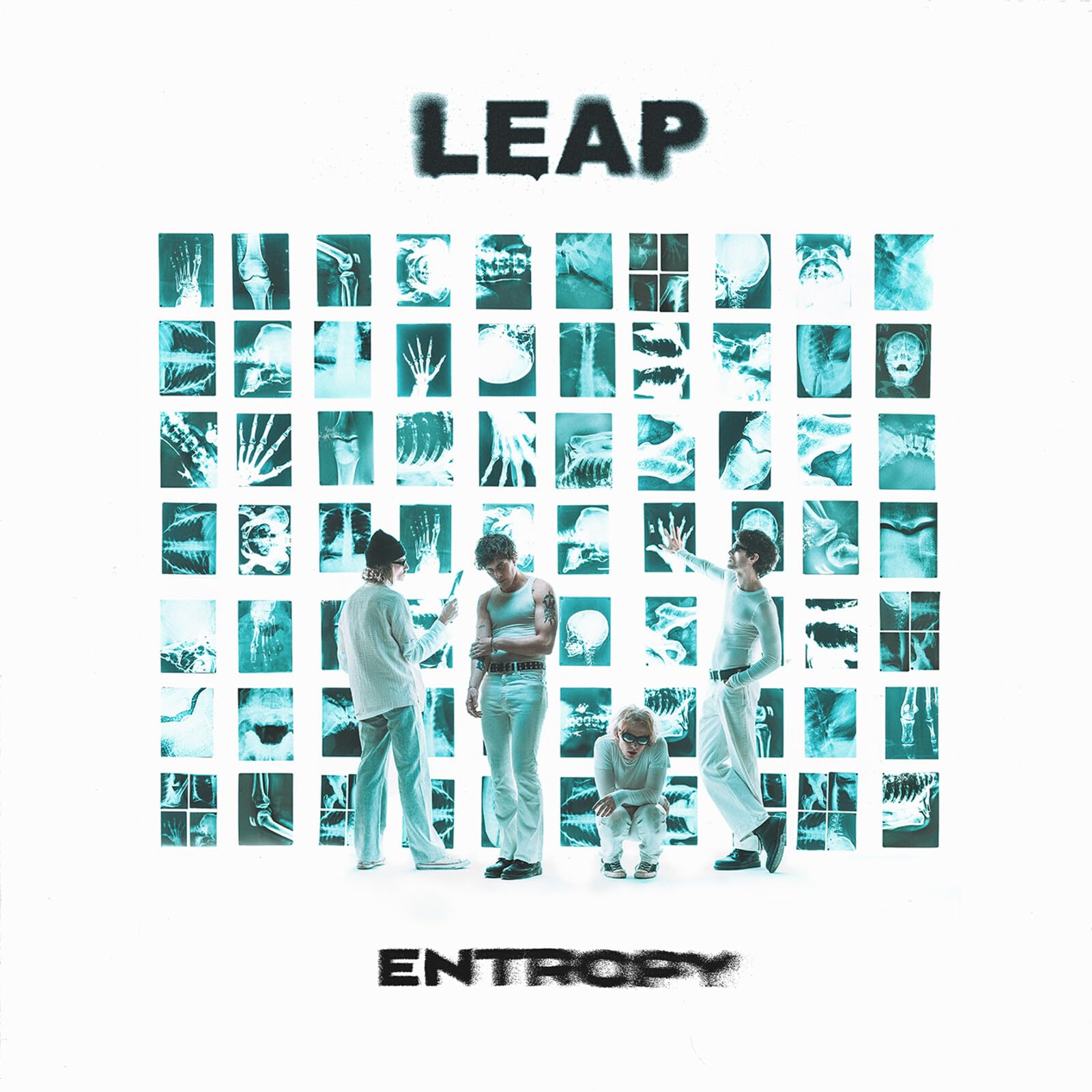 Entropy [VINYL]