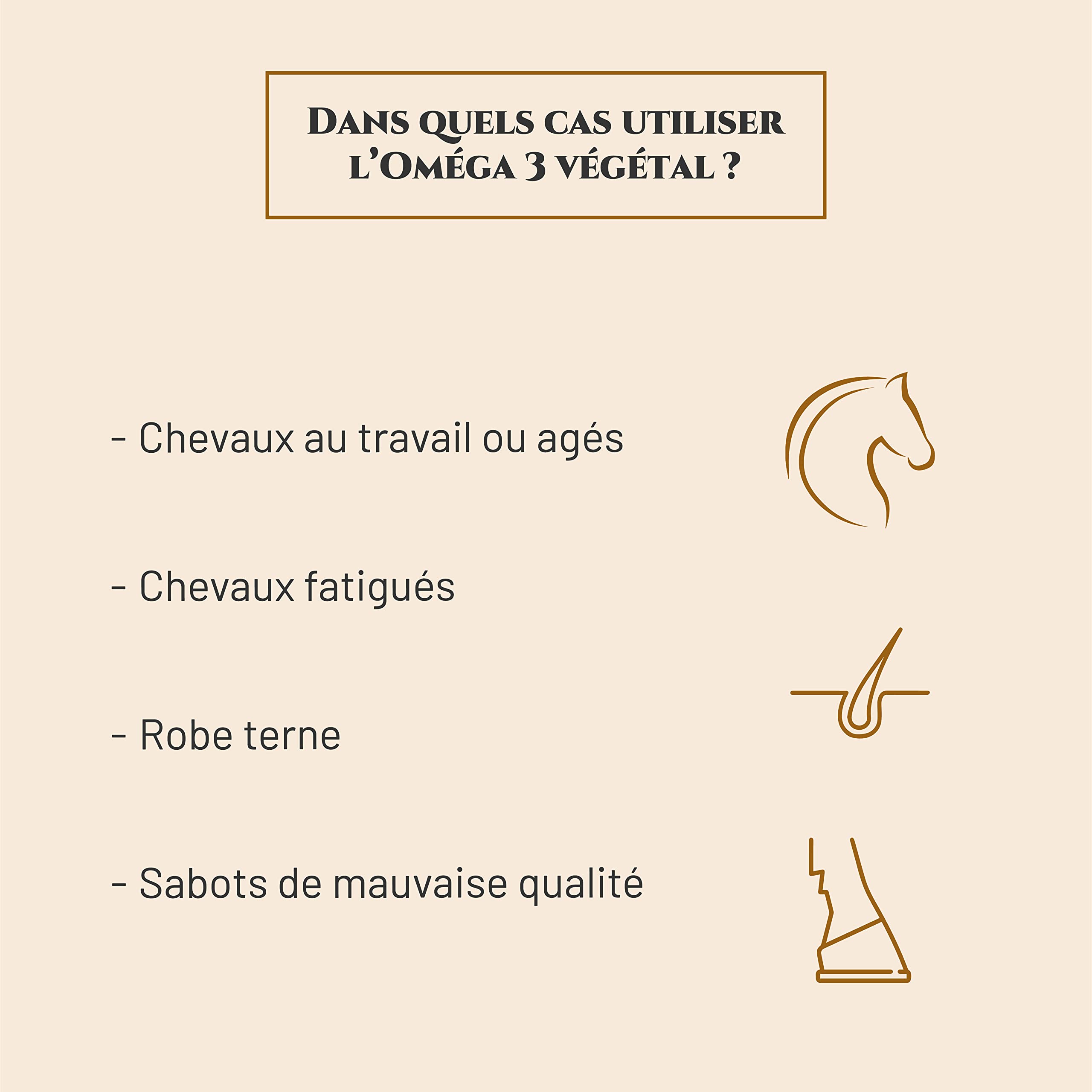 OMEGA 3 VEGETAL - Complément nutritionnel Cheval - Huile de lin et Huile d'algue riches en oméga 3 - Flacon 250 ml - Reprise d'état chevaux - Brillance de la robe - Marque Française