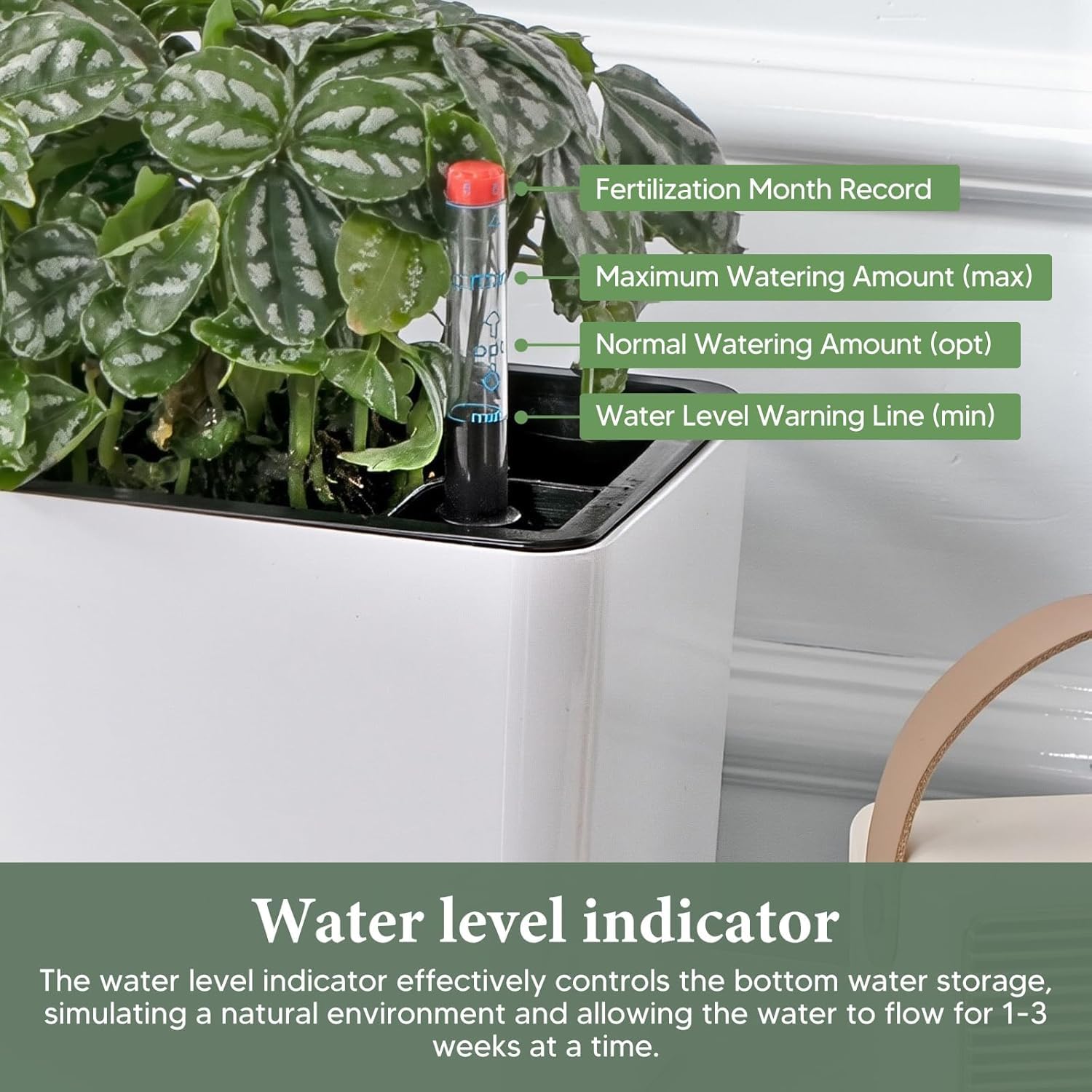 Rechteckiger selbstbewässernder Pflanzkübel mit Wasserstandsanzeige, Fensterkasten für Fensterbank, Garten, Pflanzen, Gemüse, Blumen, Weiß