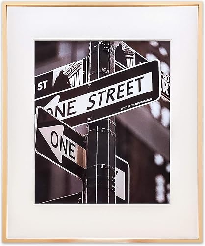 TheDisplayGuys - Marco de fotos de aluminio metálico de 20 x 24 pulgadas con paspartú de 16 x 20 pulgadas, vidrio templado (dorado), para colgar en