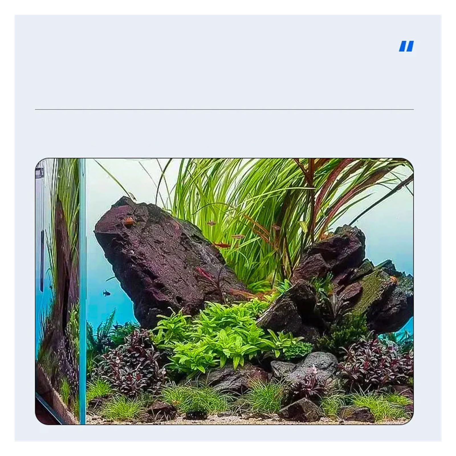 Zrdr Medidor Regulador De Co2 Reductor Dióxido Carbono Válvula Contadora Burbujeador Cilindro Eléctrico Accesorios for Acuario Pesca(R102X,CGA320)